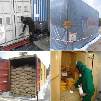 Surti Pest Control - Pest Control & Fumigation service provider in ...